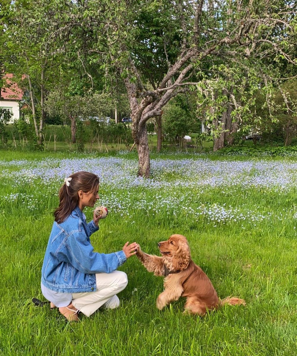 Pigeons & Pups Day Out (Women only)