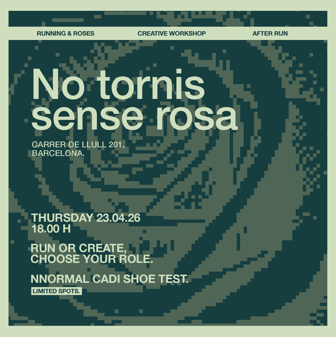 Sant Jordi - Test shoes NNormal