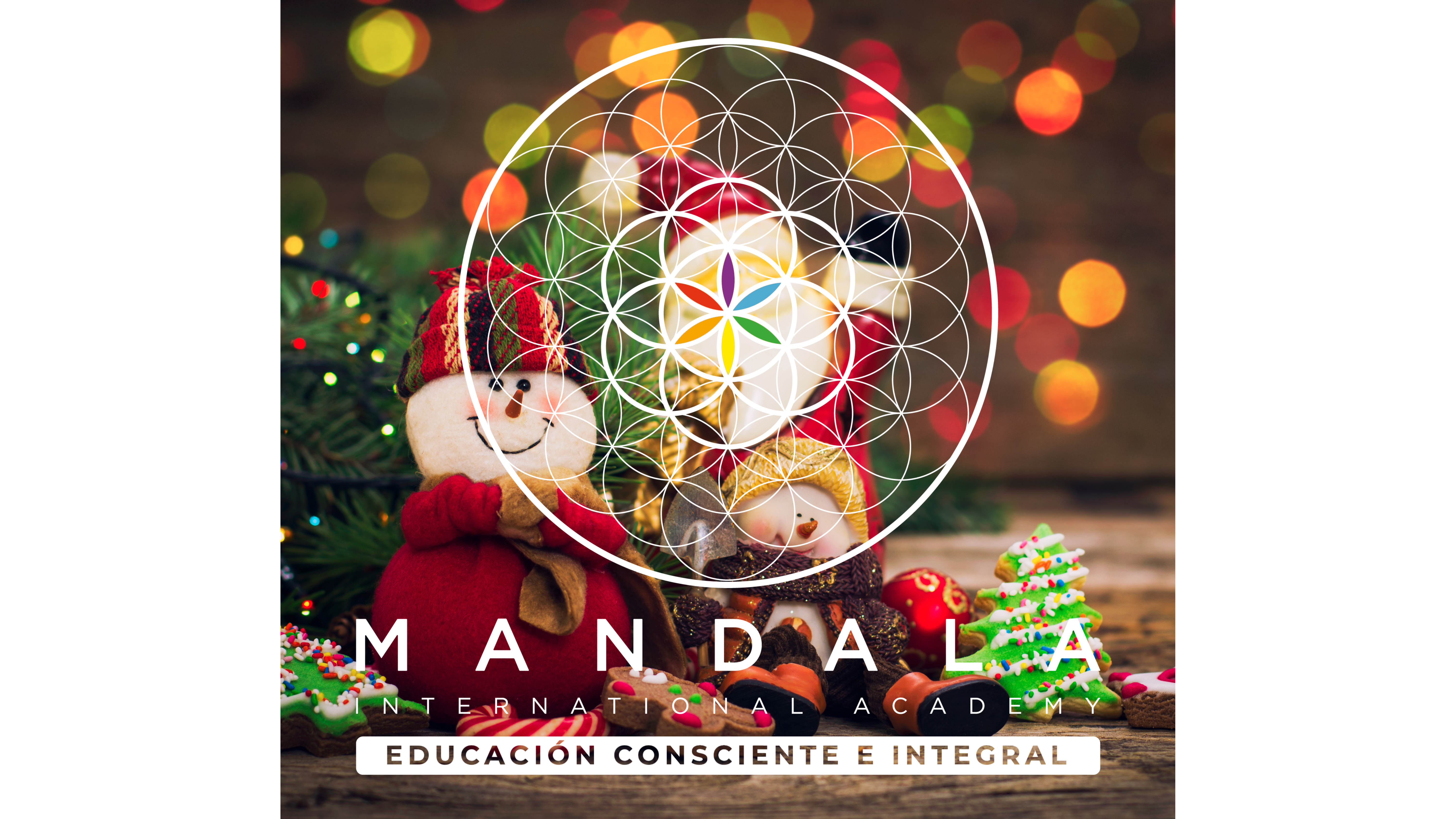 ✨🎄 Bazar Navideño ✨🎄