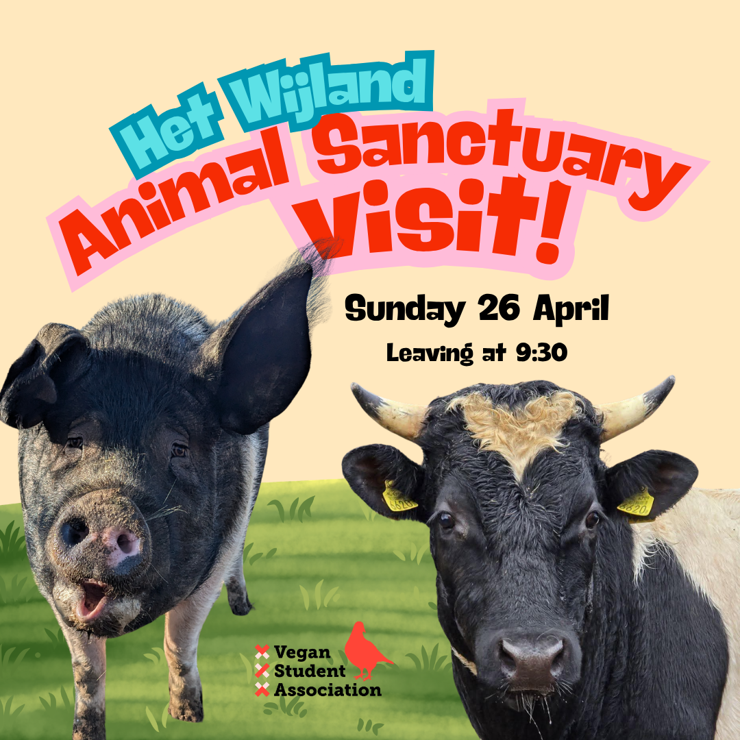 Wijland Sanctuary Visit