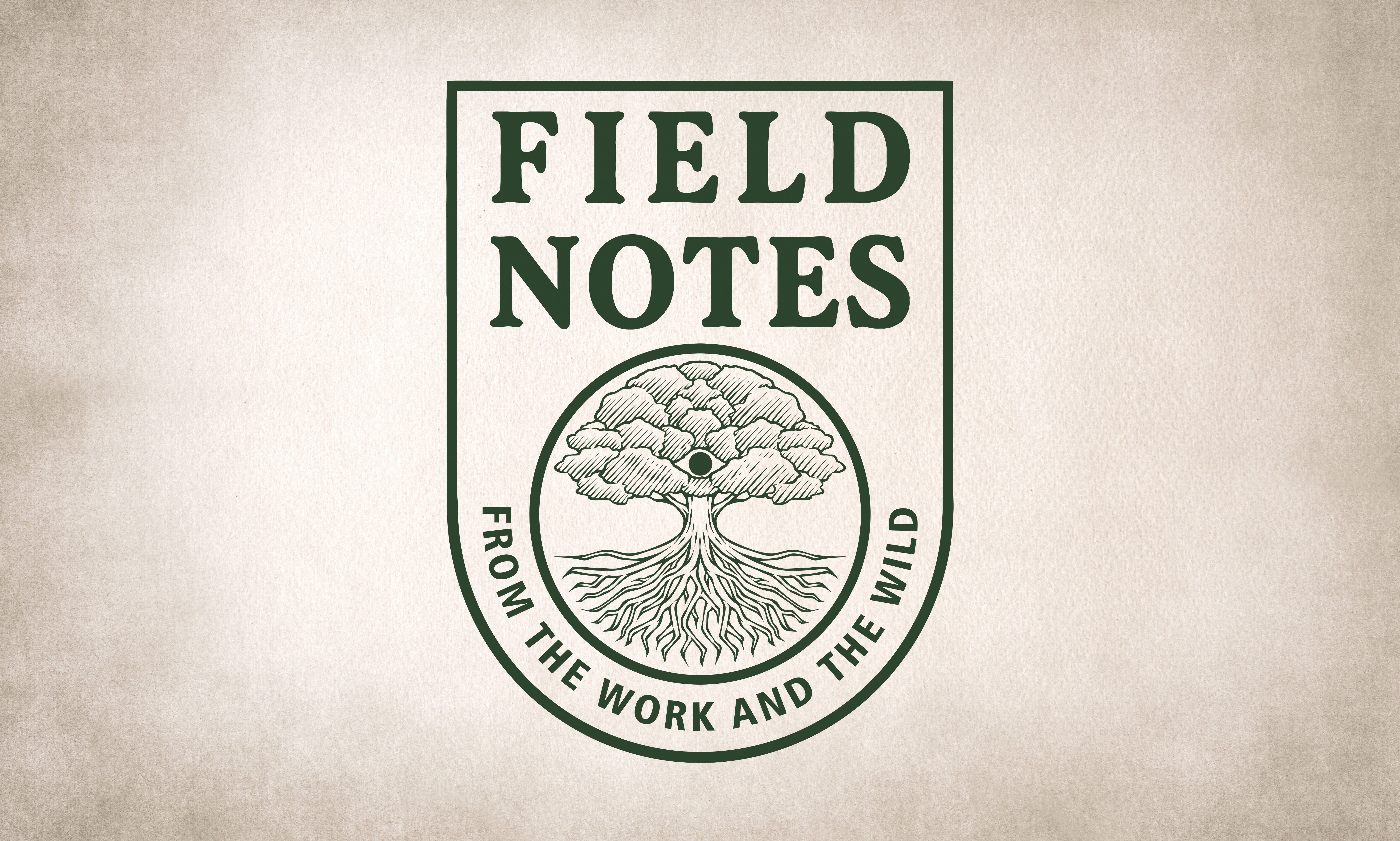 Field Notes: A One-Year Gathering