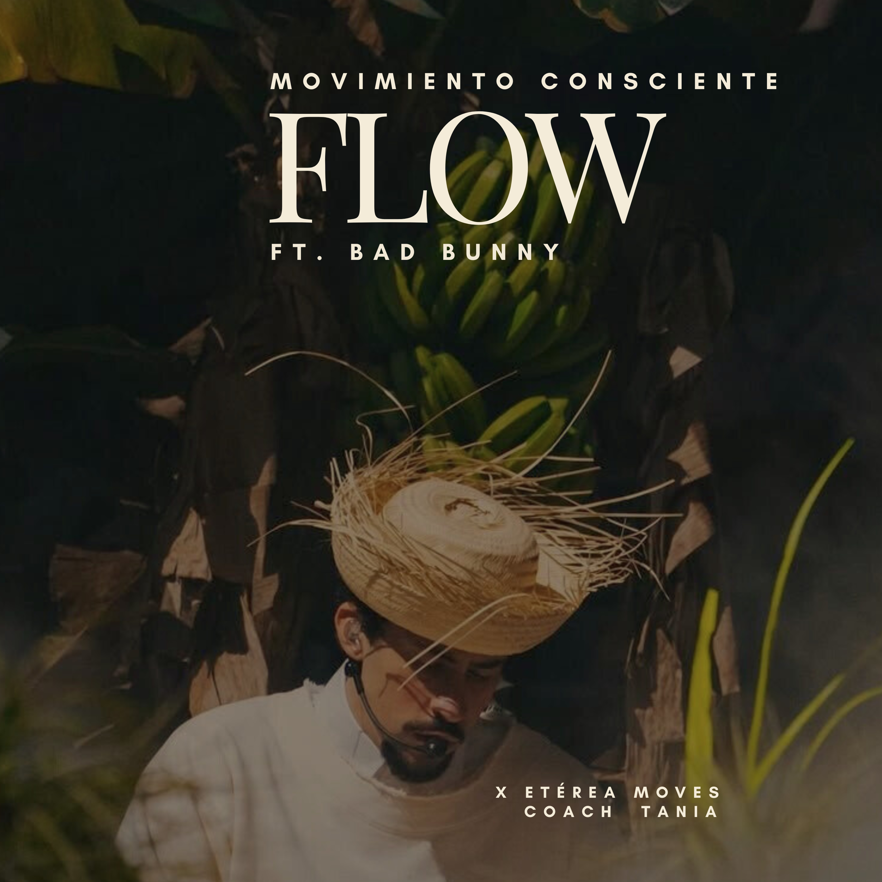 ETÉREA MOVES | FLOW🐰🏝️