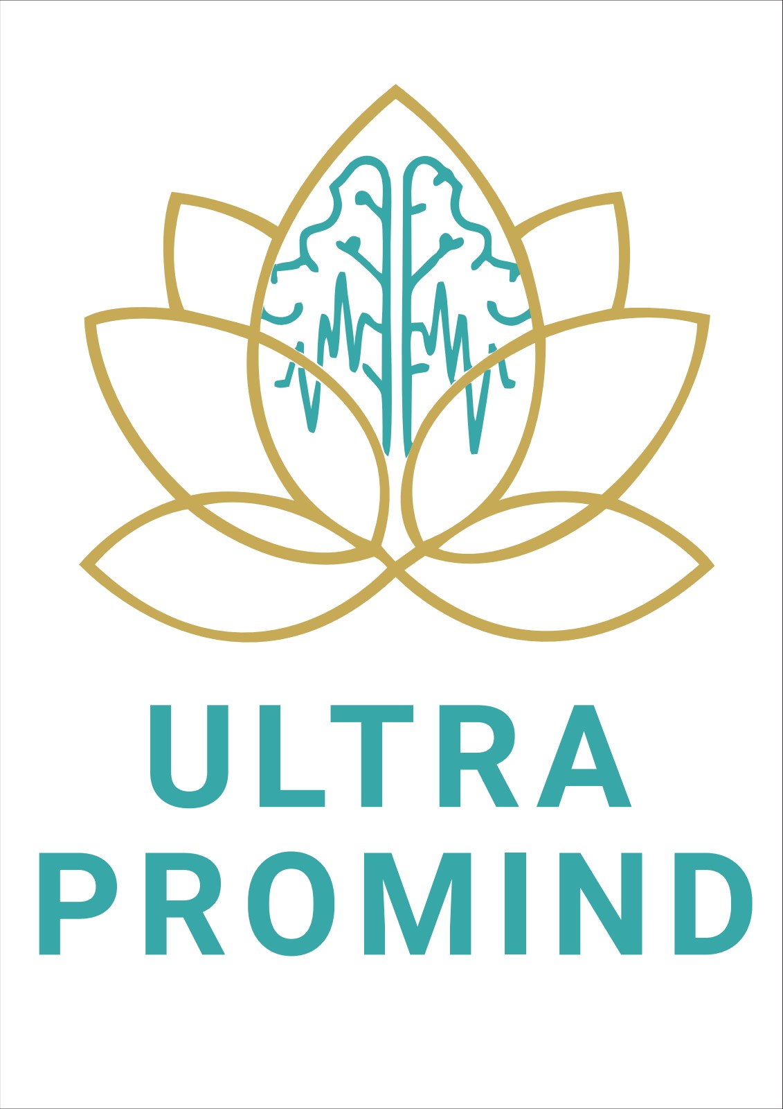 Free Offline Life-Style Modification Program