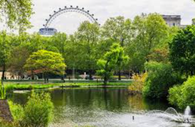 Founder Mums Walk & Talk - London