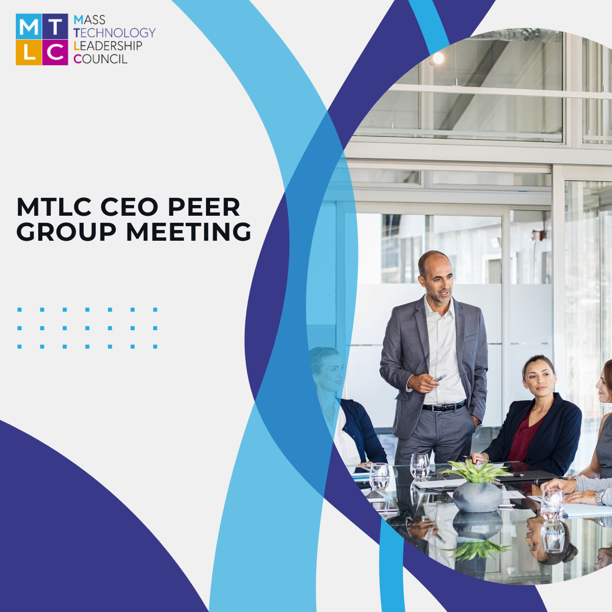 MTLC CEO Peer Group