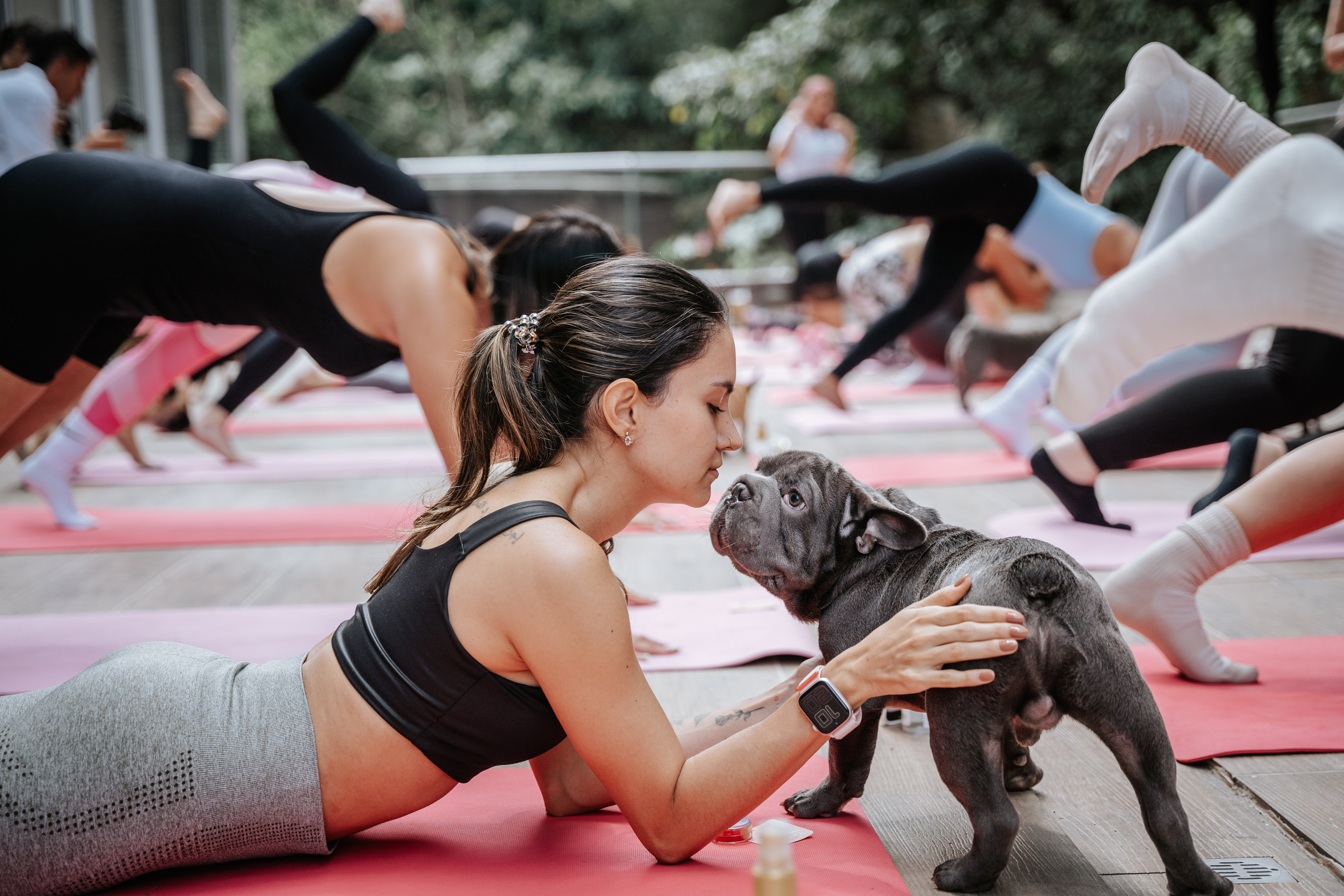 Puppy Yoga & Brunch - 22 de Agosto