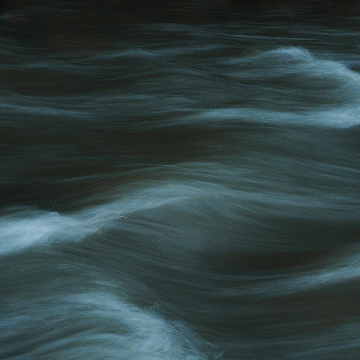 Cover art for #From Theory to Practice: Advancing the Rights of Nature in Law, Policy and Governance — Simmons & Simmons