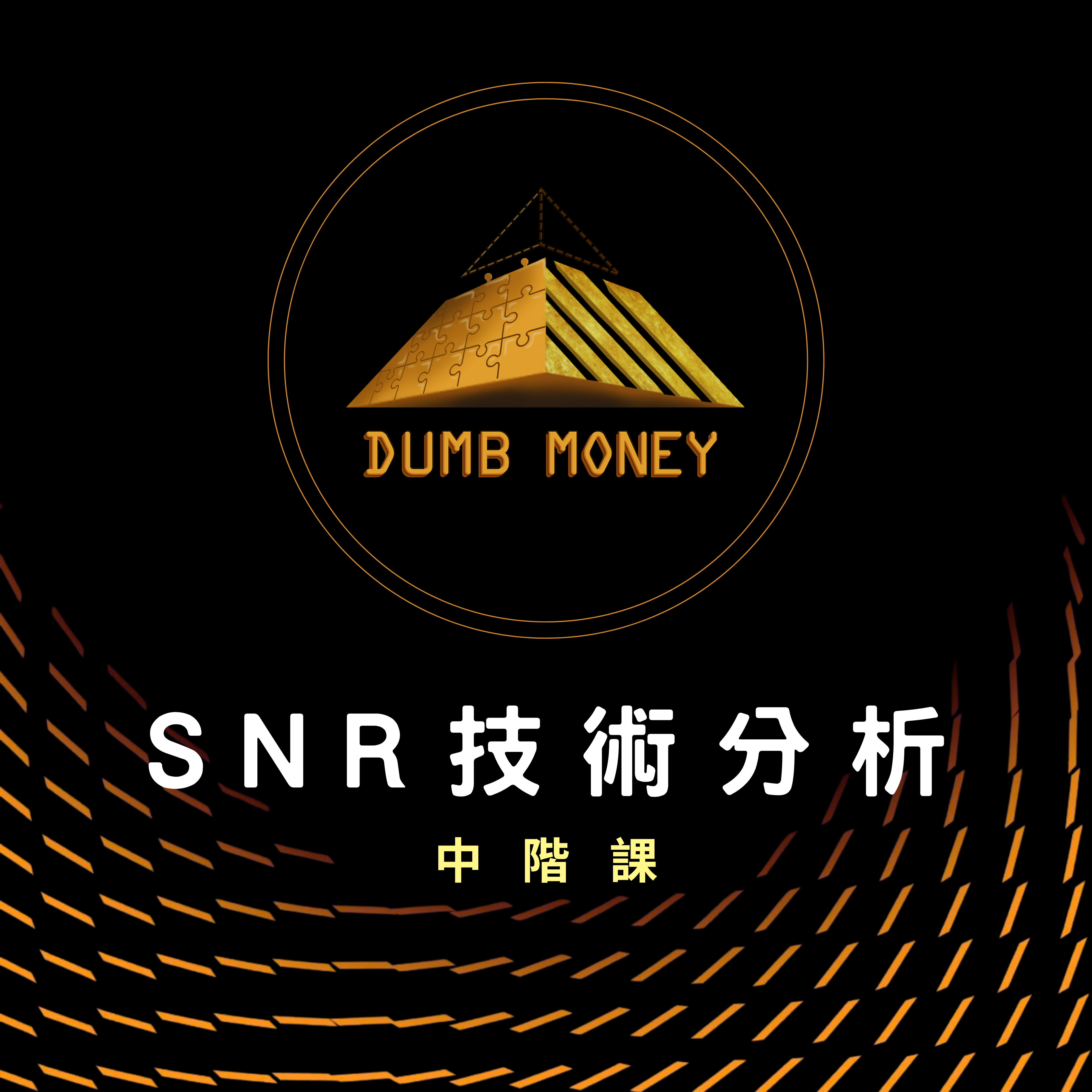 ＳＮＲ技術分析-中階課