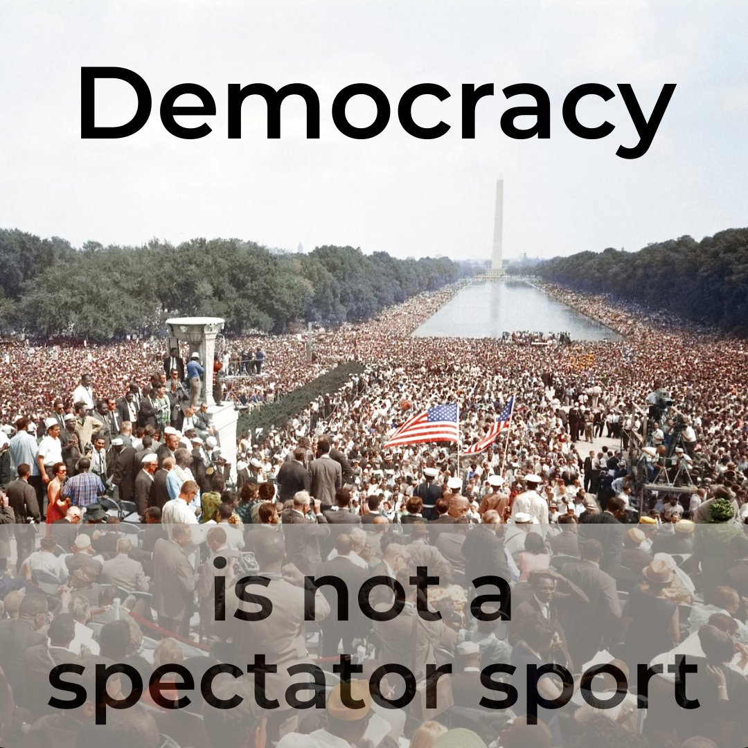 Climate, Democracy, and the Mid-Term Elections, or "How Everything You Care About Flows Through Having a Functioning US Democracy" (on Zoom)