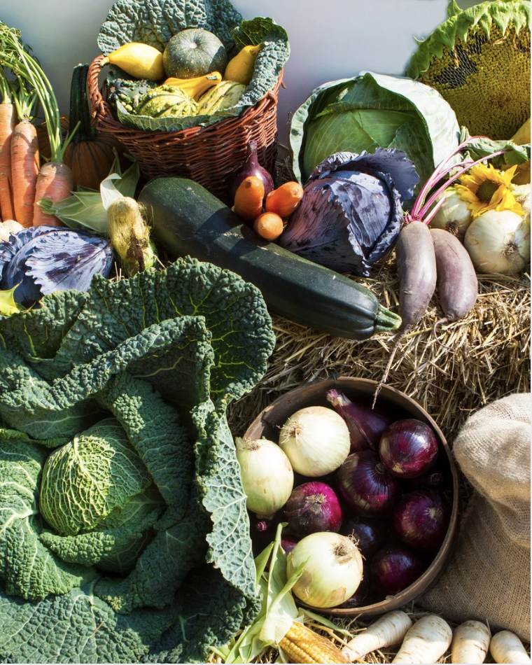 When Food Becomes Medicine: A Free Lecture in Food Energetics & Longevity