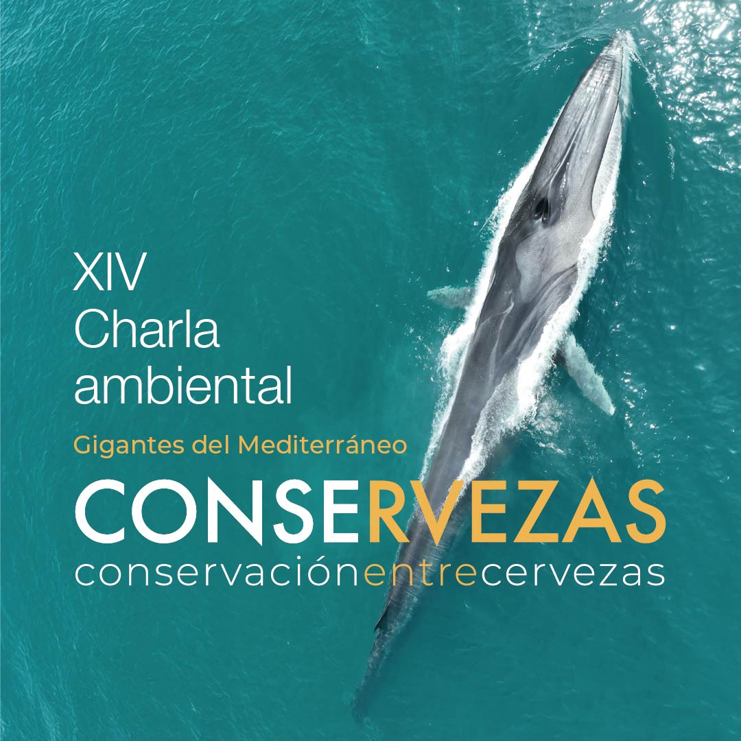Conservezas XIV — Gigantes del Mediterráneo