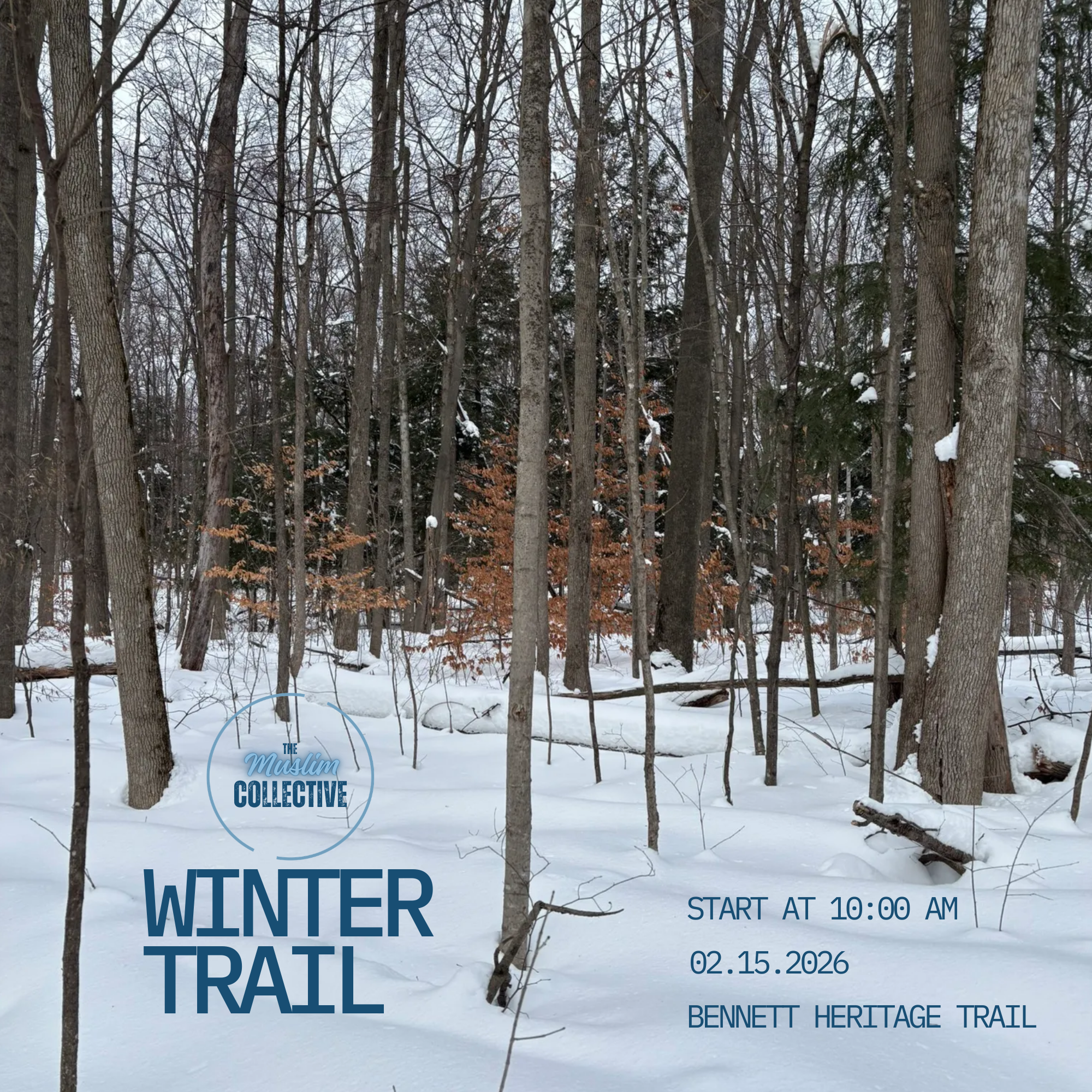 Winter Trail