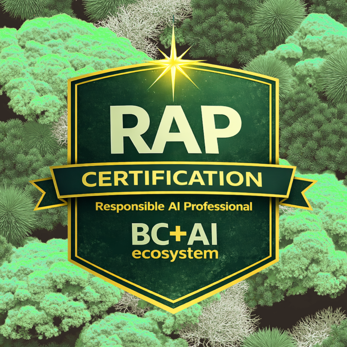Responsible AI Professional Certification: 8/7