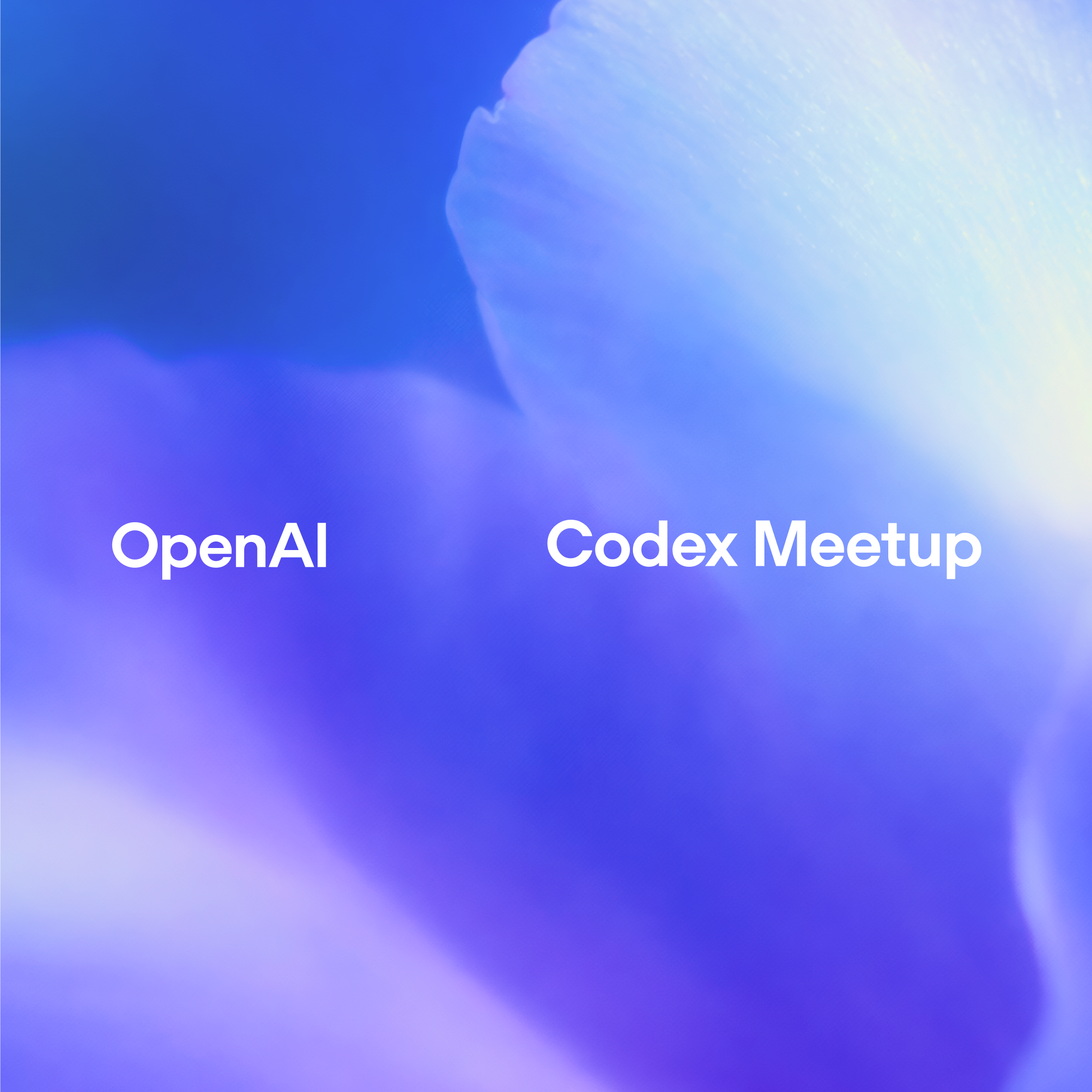 OpenAI Codex Community Meetup - Wroclaw