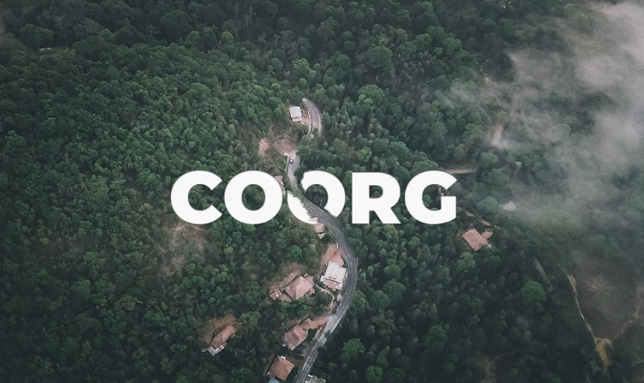 Extended Pack Collective - DesignScape