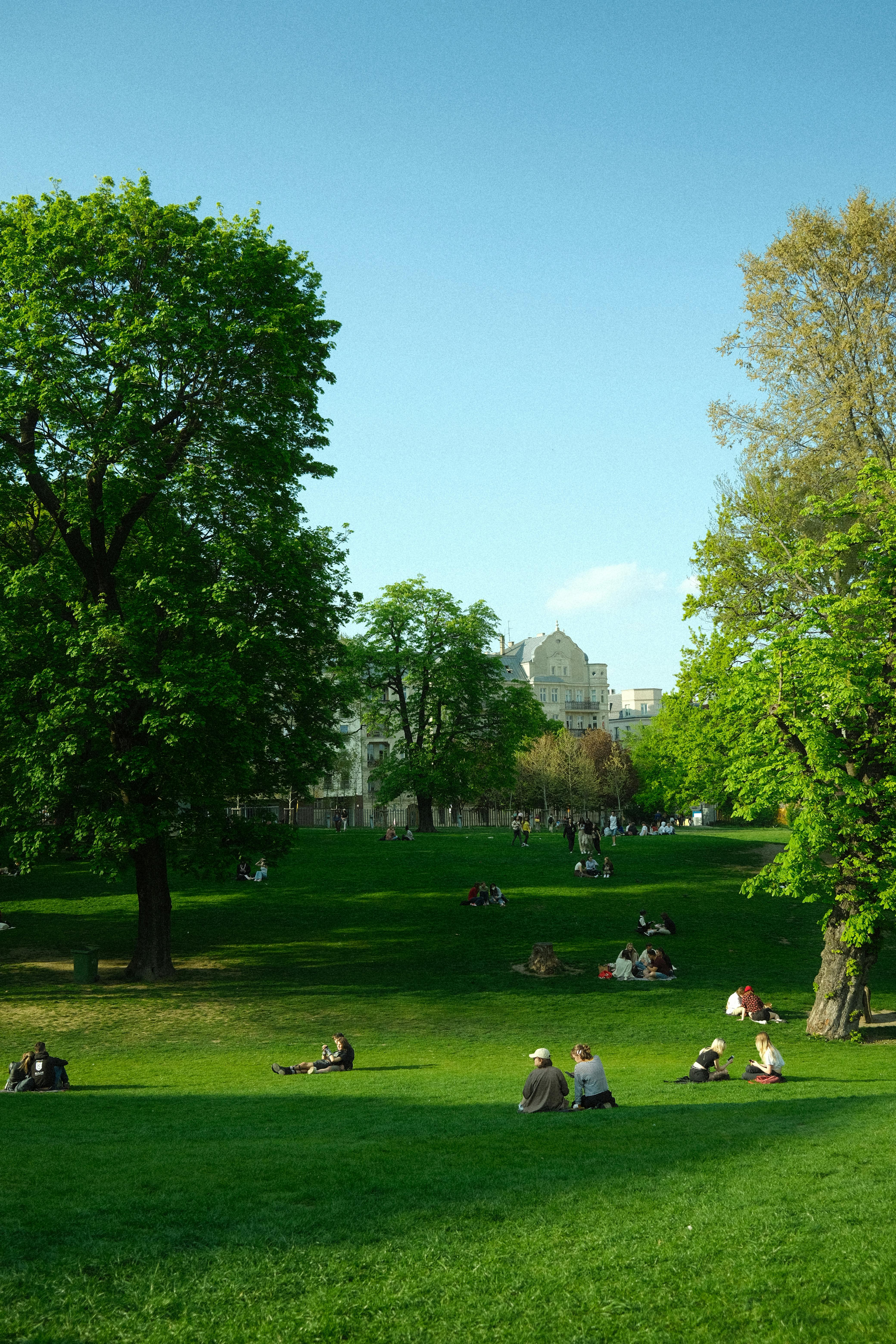 Free | A Gentle Pause in the Park | Slow Movement & Soft Sound