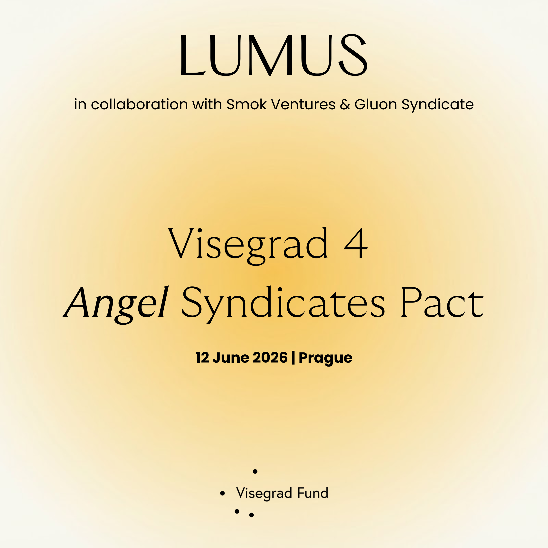 Visegrad 4 Angel Summit