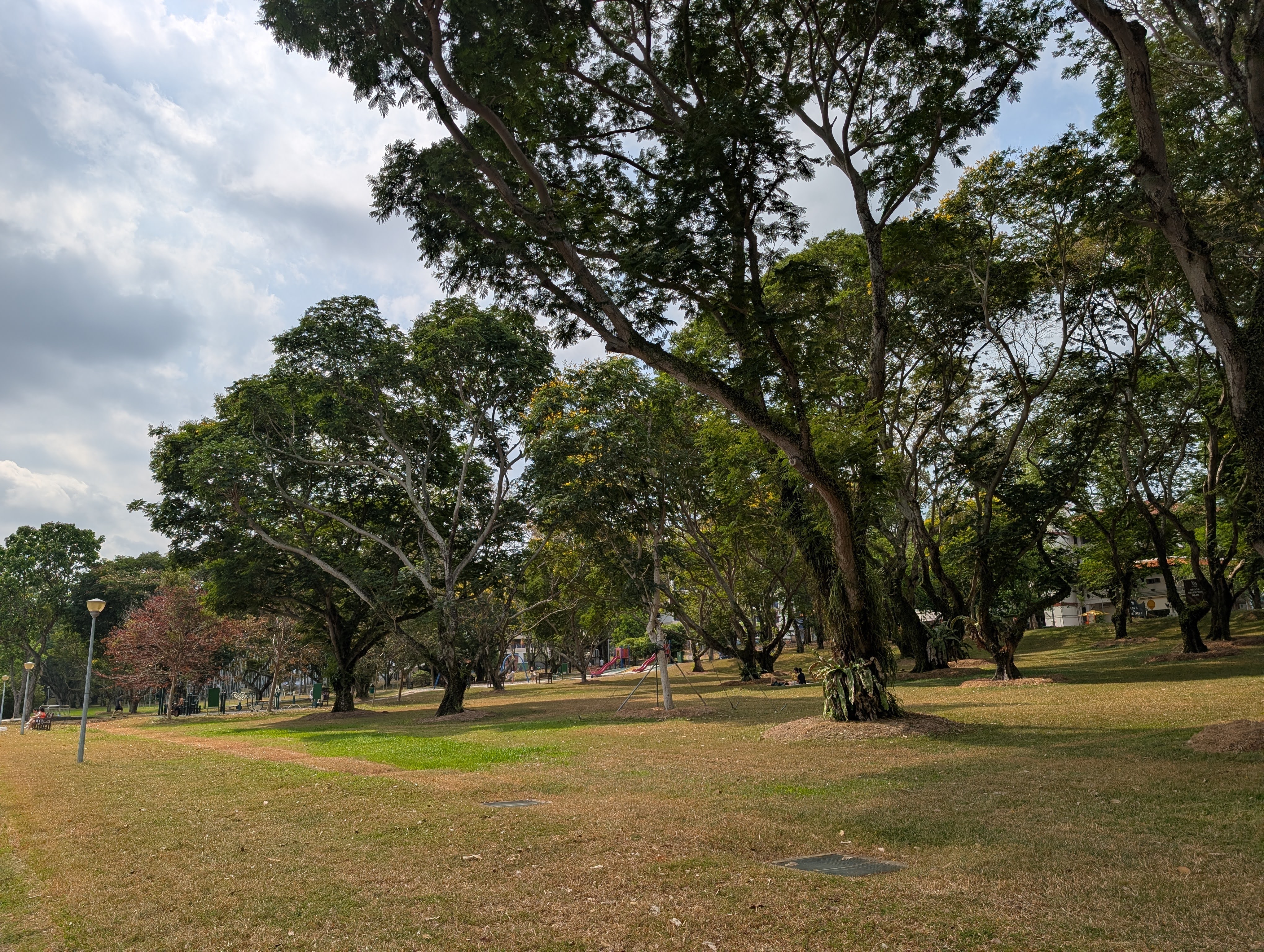 Cover art for #Move Free: Reconnect With Your Body — Bedok Reservoir