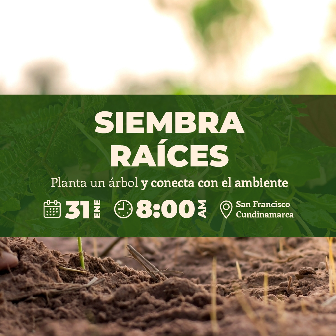 Siembra Raíces - San Francisco, Cundinamarca