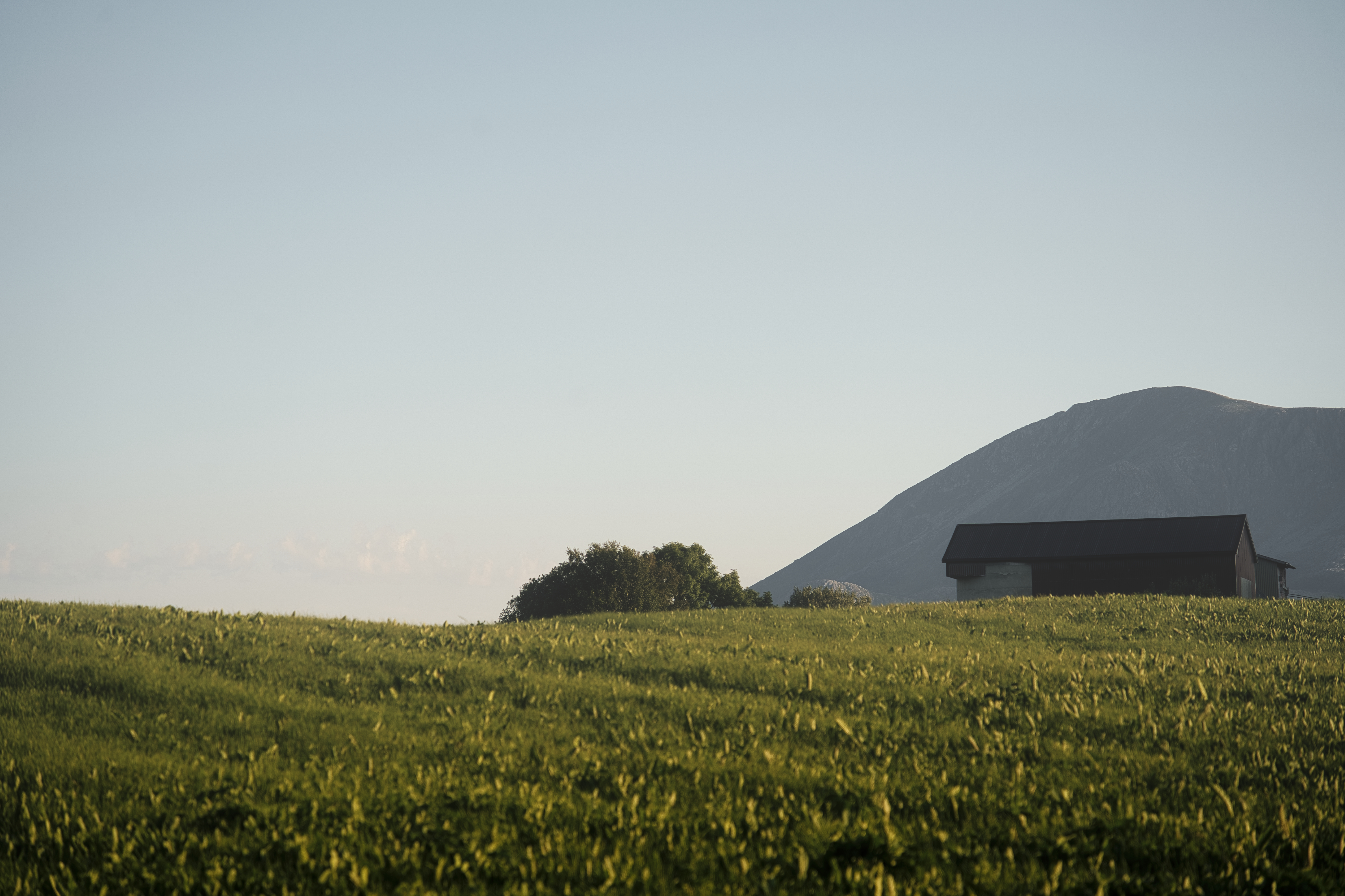 Test og Lær dagene ved Øksnevad VGS