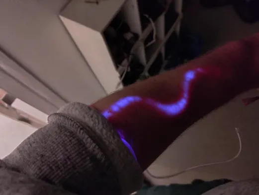 Anatomy and Physiology for Biohackers - Open Registration