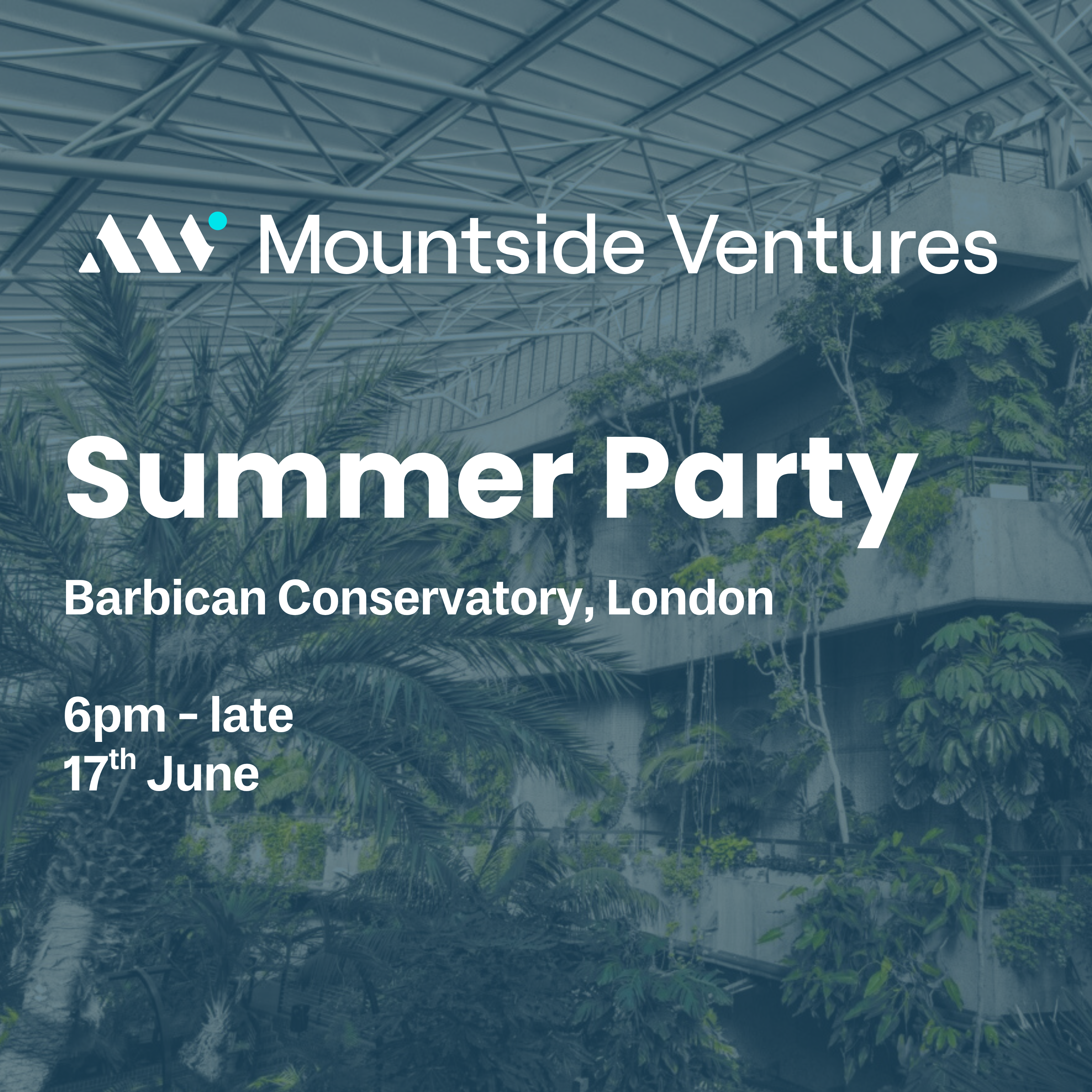 Mountside Ventures - Summer Party