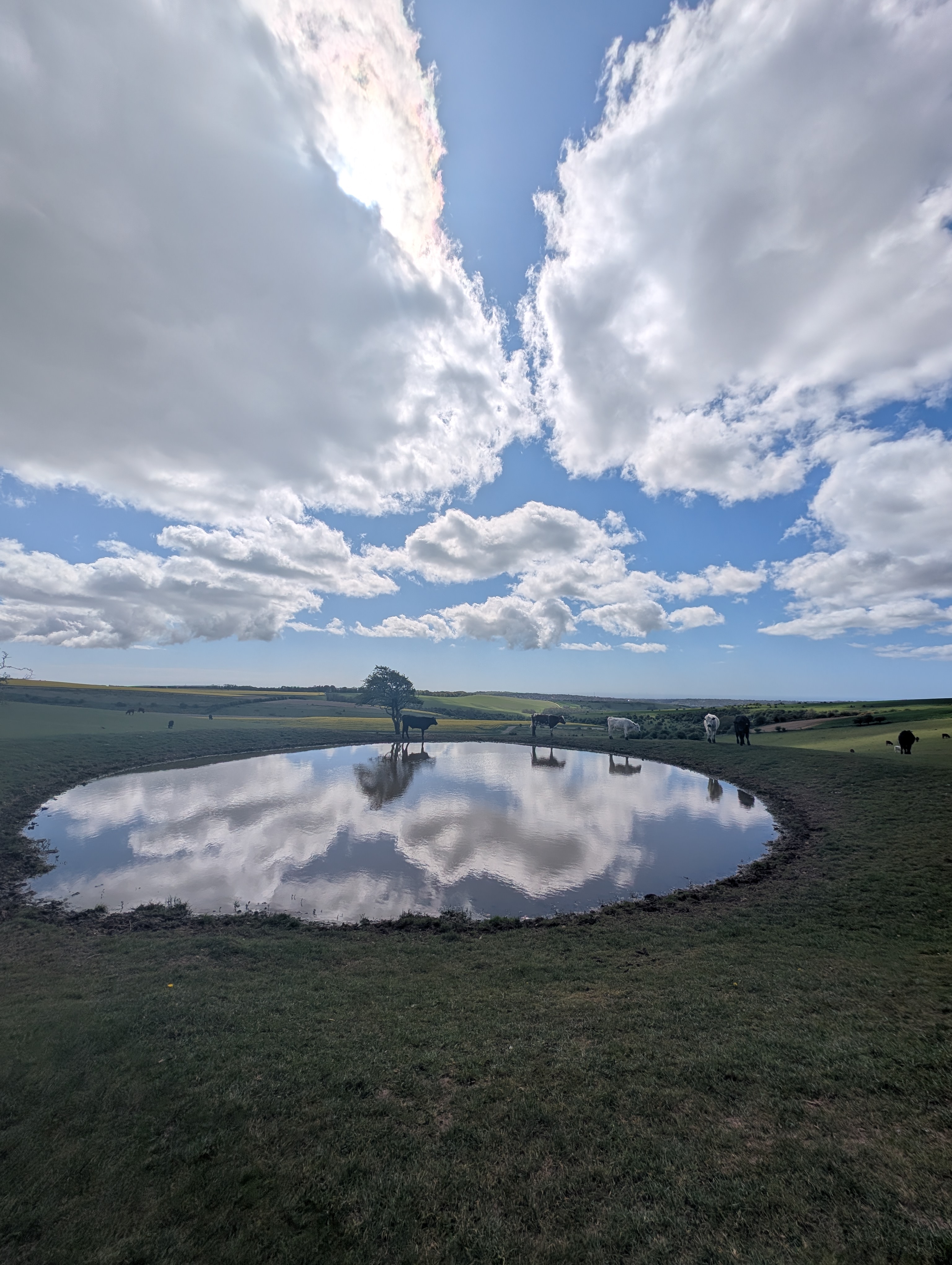 Lewes To Seaford Hike