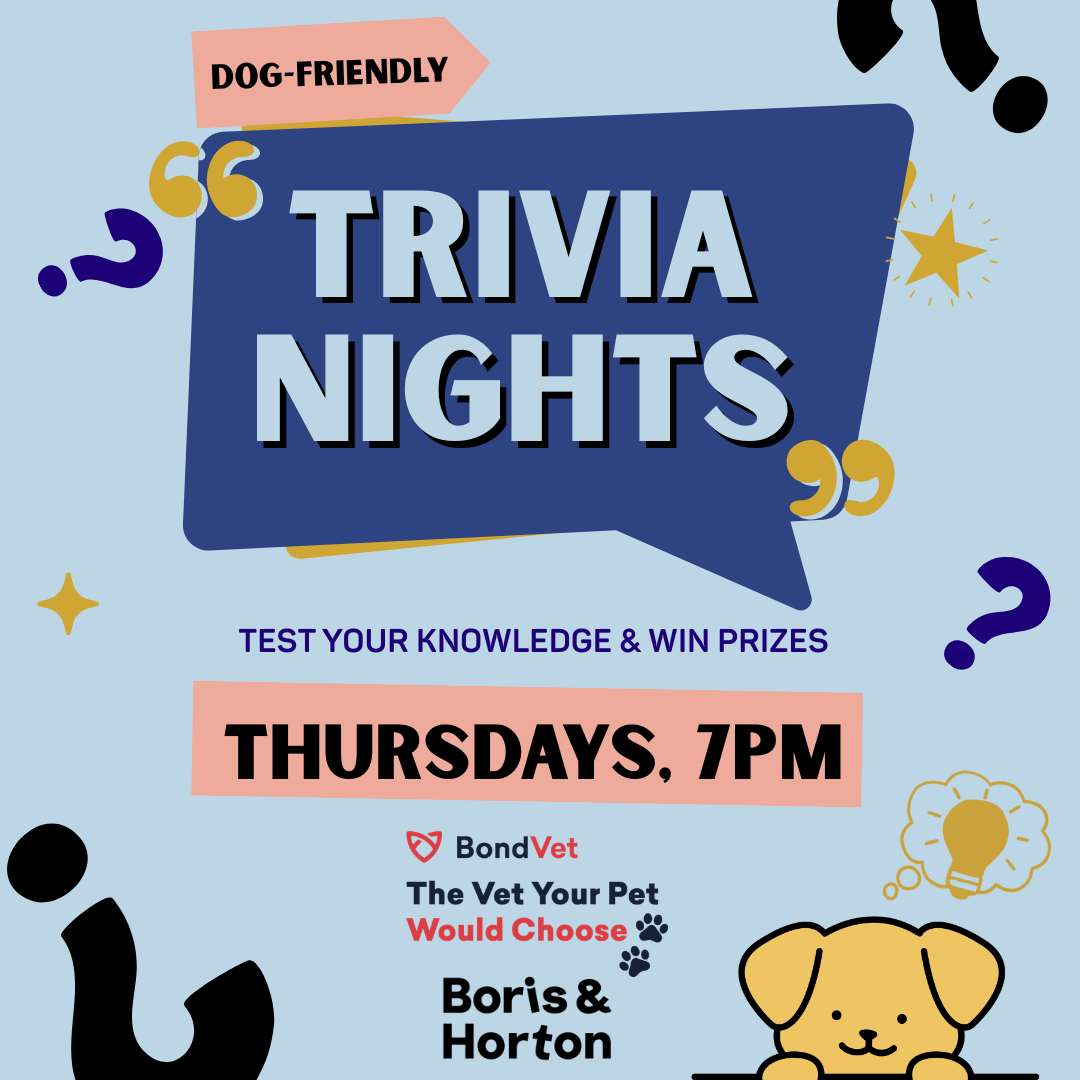 Dog-Friendly Trivia at Boris & Horton