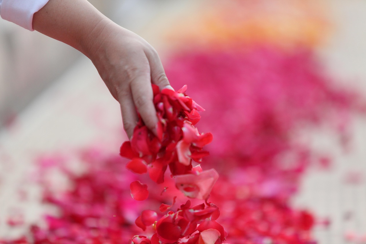 Rituel et soin de la rose