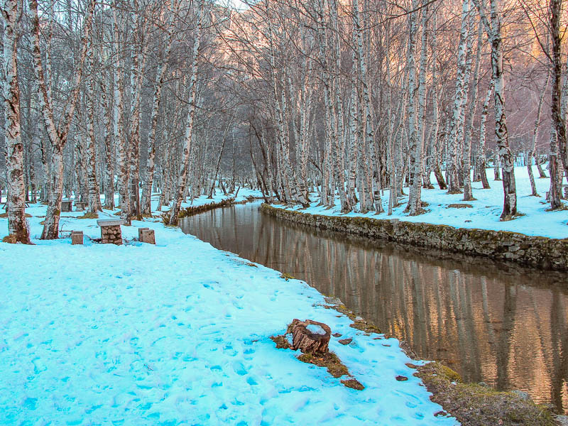 GRZ Expedition 🥾 Stage 1: The Wild Beginning