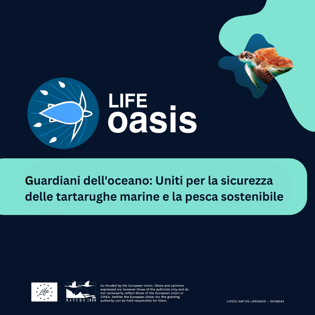 Guardiani delloceano - Uniti per la sicurezza delle tartarughe marine e la pesca sostenibile