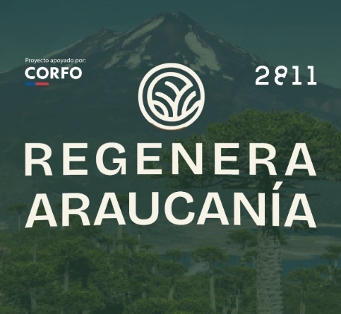 Desayuno de lanzamiento: Financiamiento Climático y Regenerativo en La Araucanía