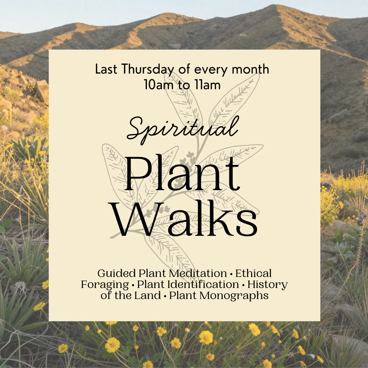 Spiritual Plant Walks
