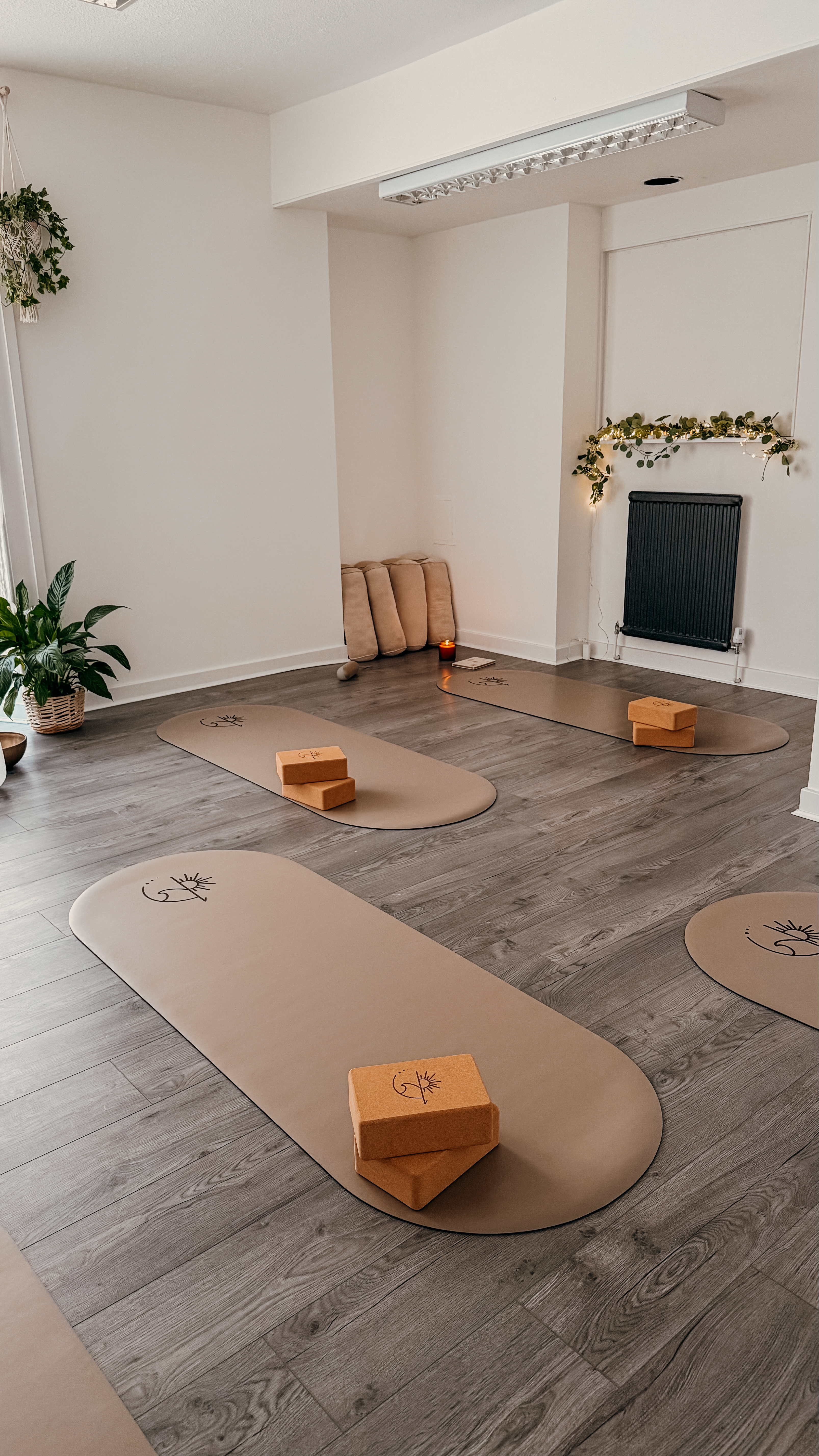 Tuesday Vinyasa Flow