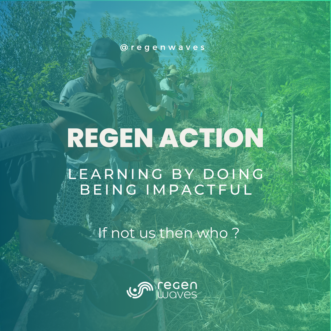 Regen Action #2  Site #1 Lab Forest —  Learning by doing : Regenerating a bioregion