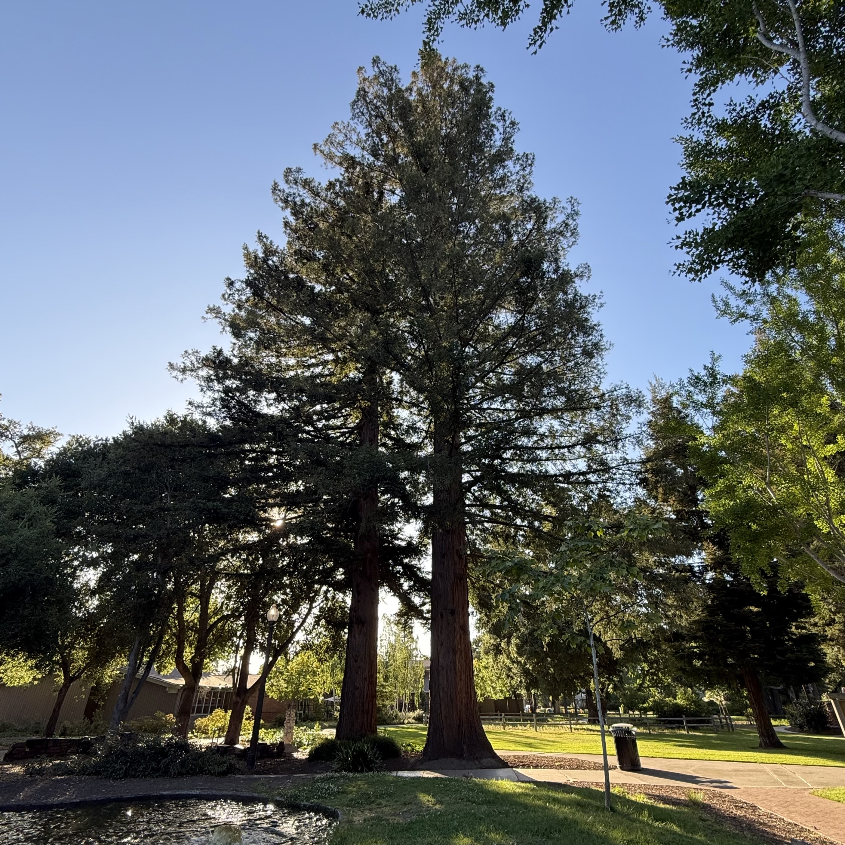 Cover art for #8090 Builder Hour [SF Bay Area] — Redwood City, CA