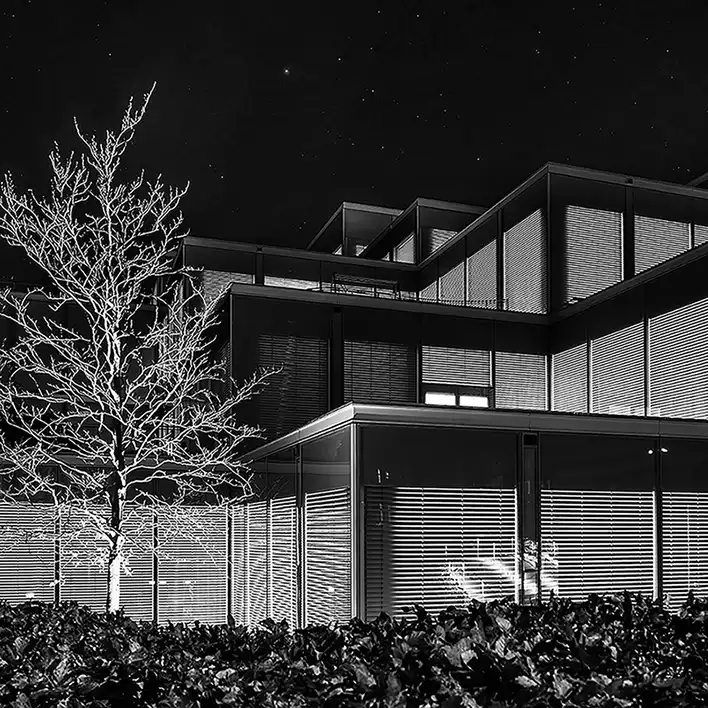 Foto Nightwalk im Februar