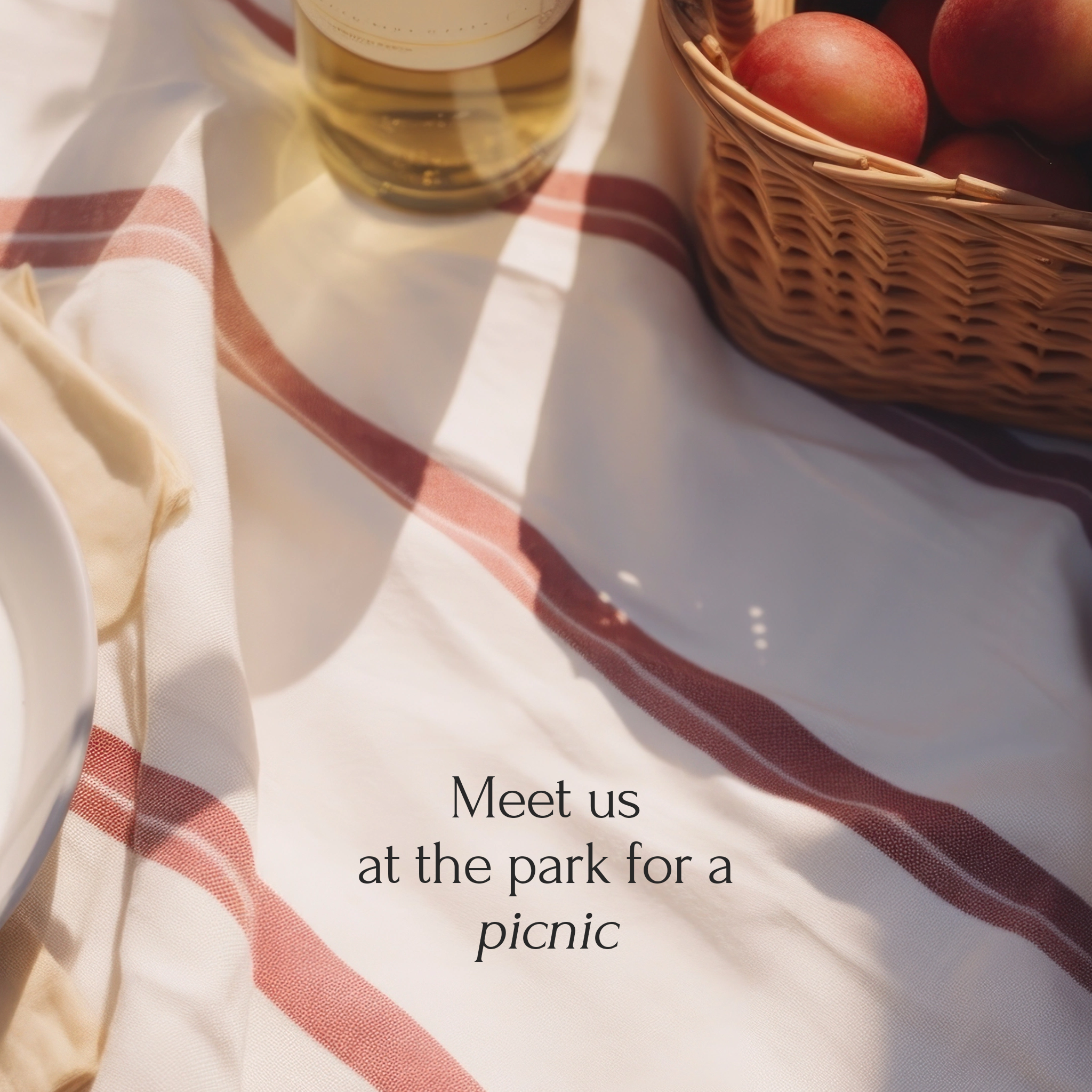 Picnic at the Park
