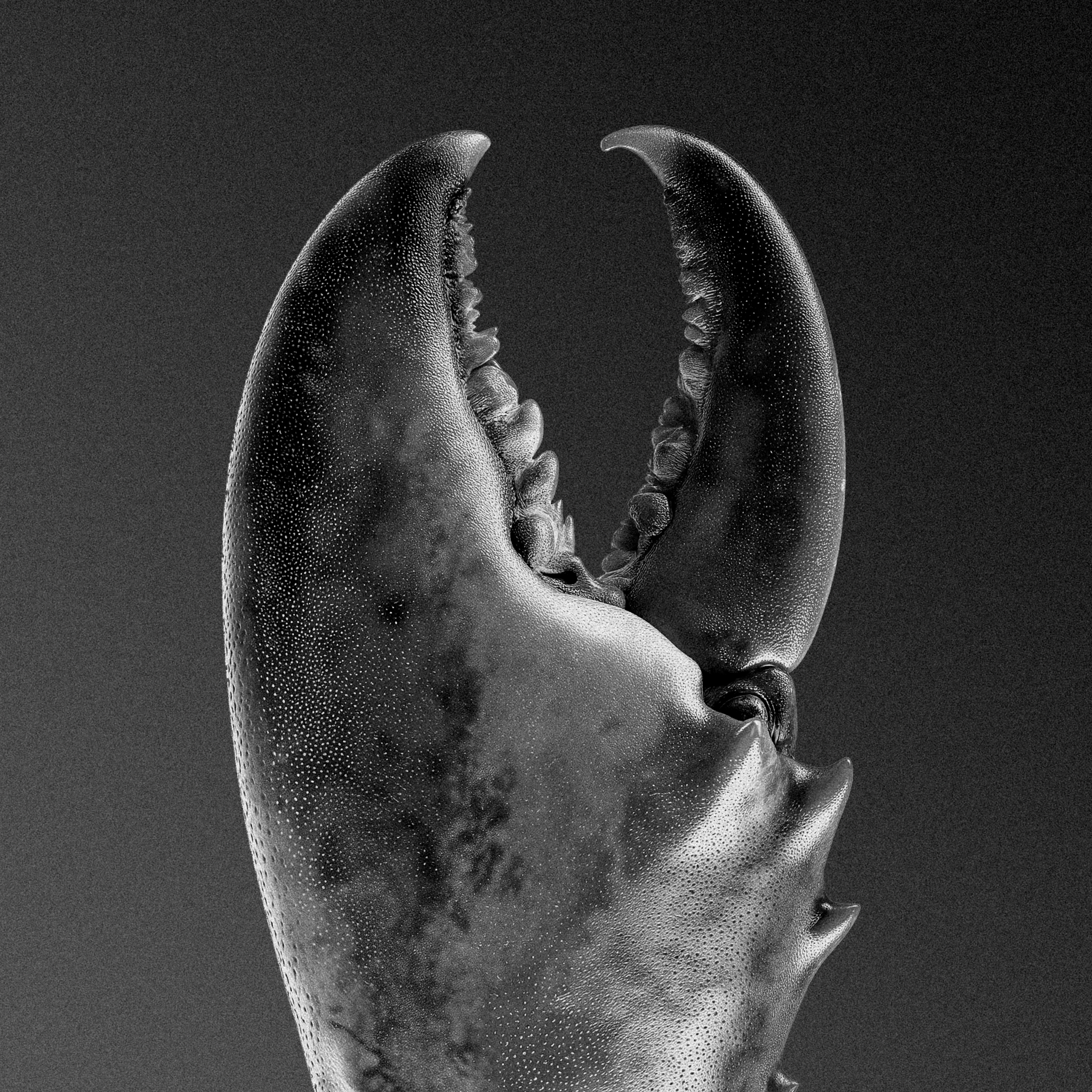 OpenClaw Happy Hour Meetup