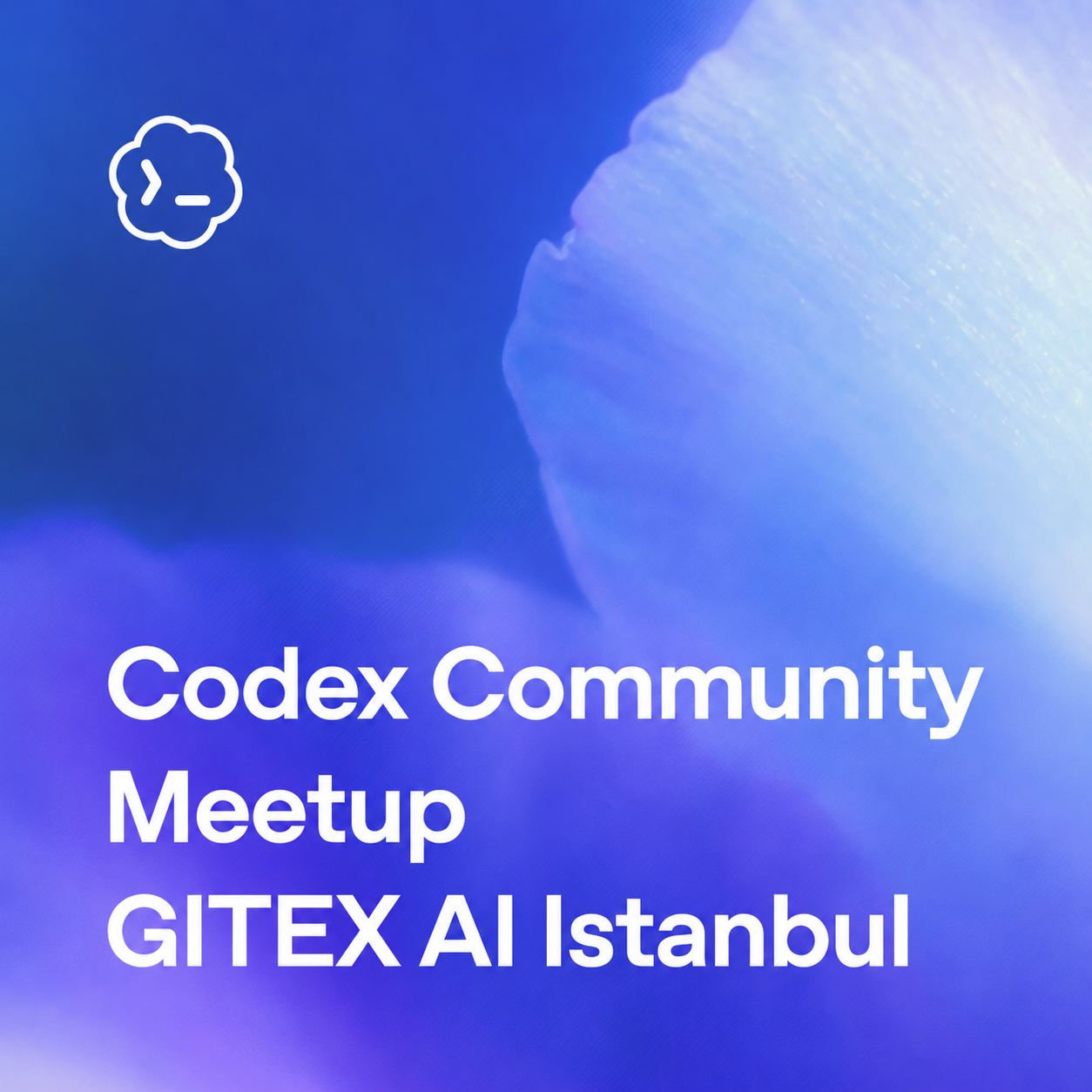 Rencontre de la communauté Codex @GitexAI Istanbul