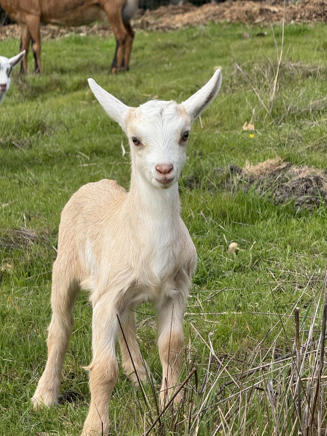 July Decelerator at Rancho San Gregorio: Hosted by Founders Guild