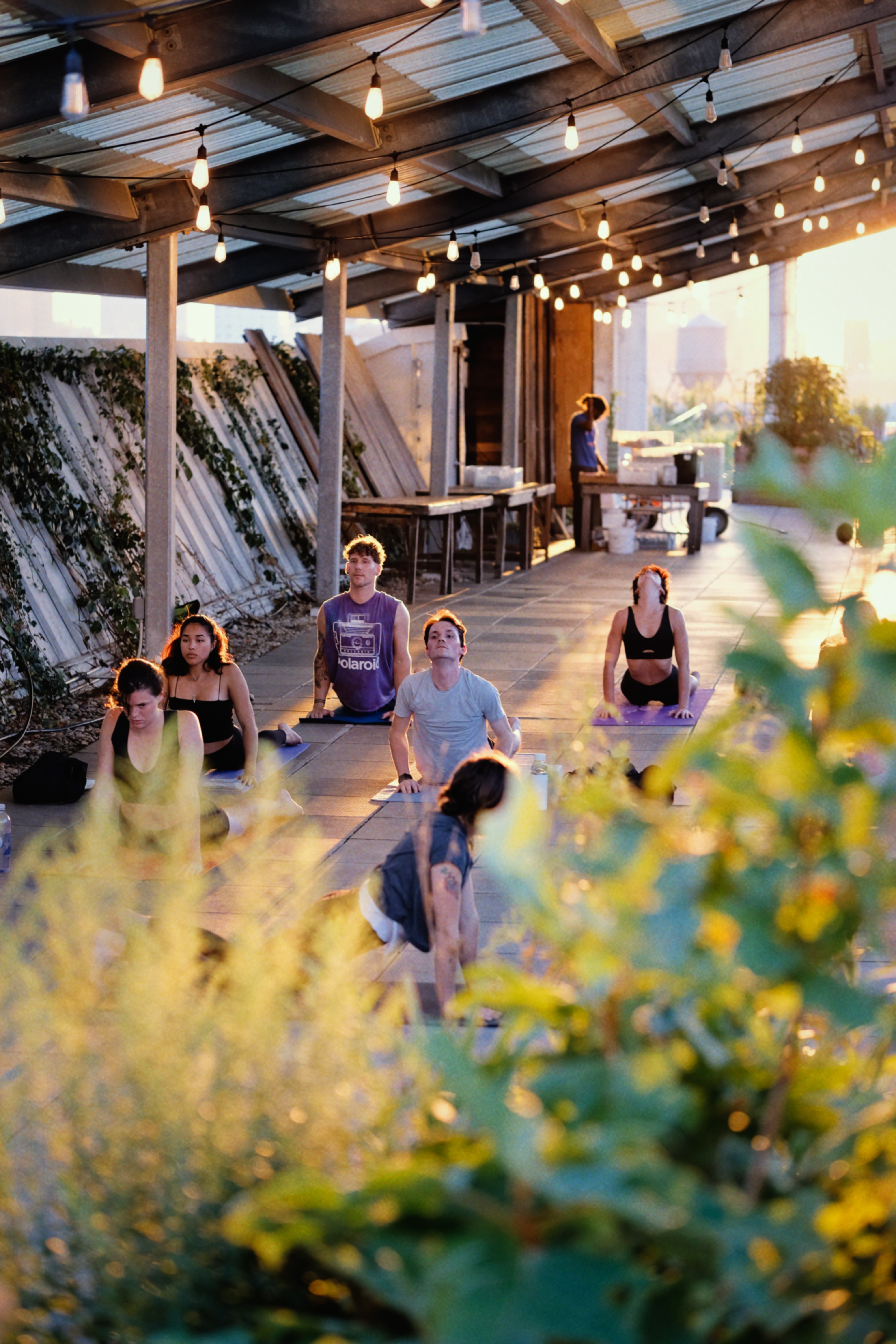 Cover art for #Rooftop Yoga — Brooklyn Grange @ Brooklyn Navy Yard
