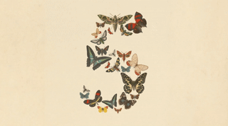 Cover art for #AI Engineers Study Group — Fable 5, Loops, and Workflows — Brooklyn, NY
