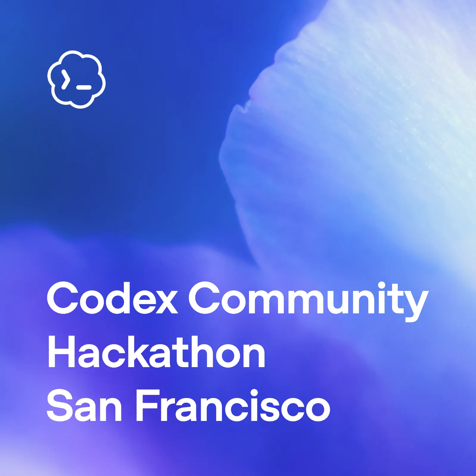 ☕️ Codex Community Hackathon - San Francisco #5