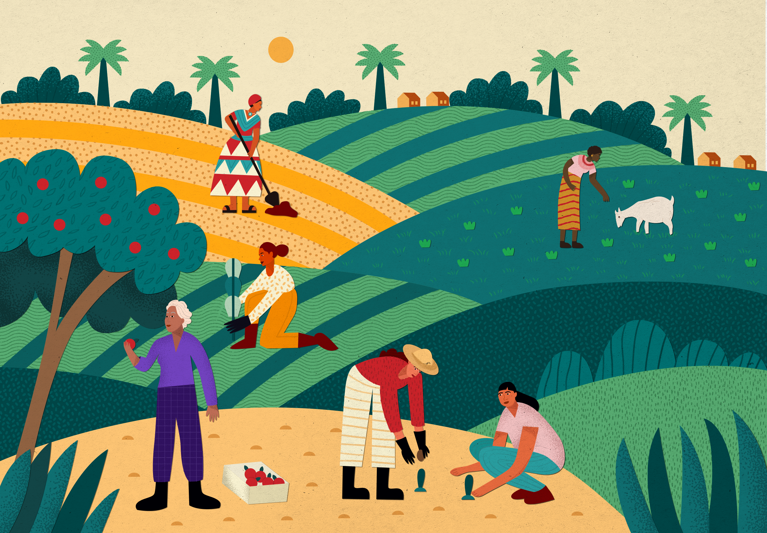 Cover art for #Scale the Solutions: Women-led agroecology in Action — ActionAid UK