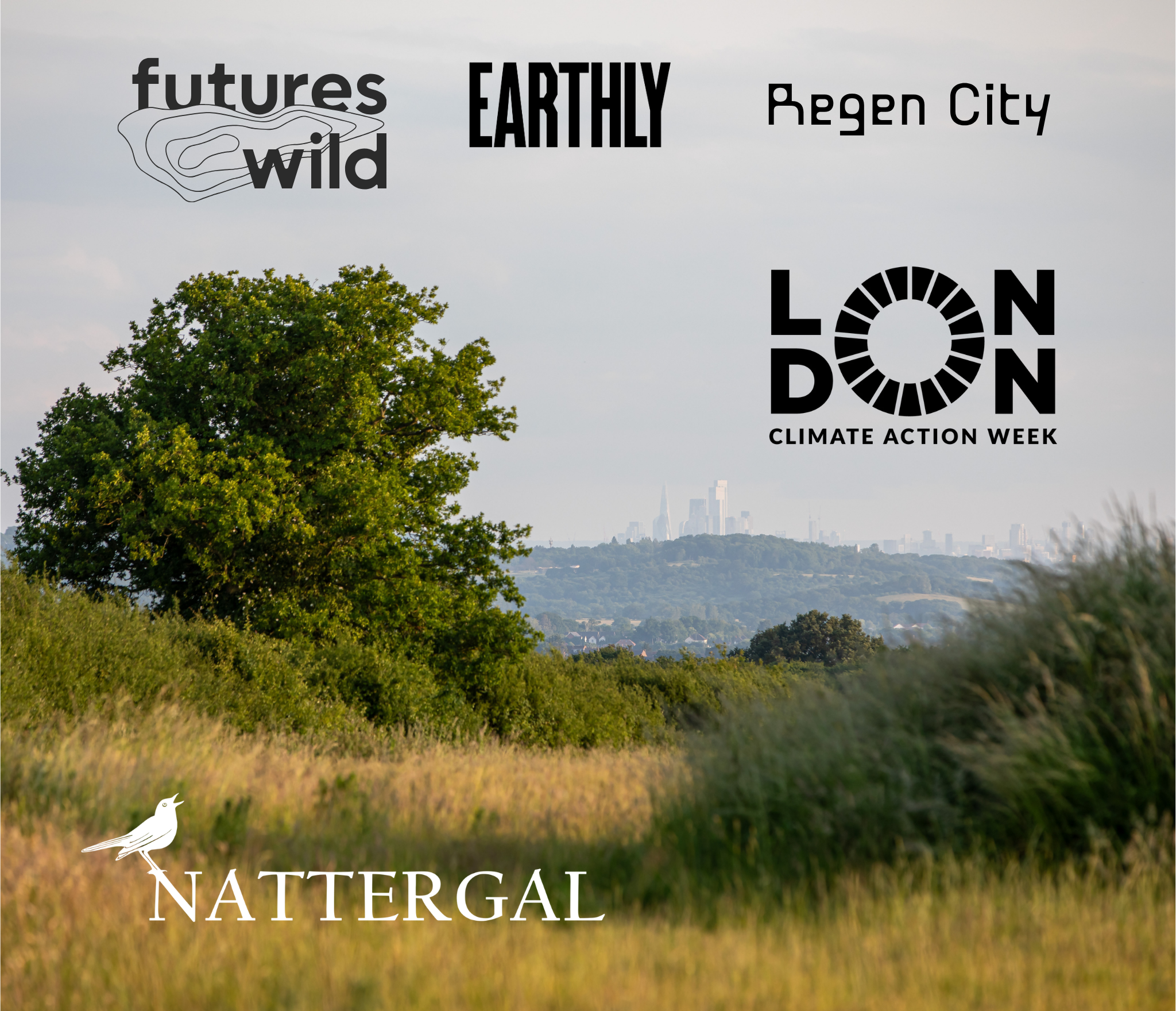 Cover art for #FuturesWild x Earthly x Regen City - London Climate Action Week Rewilding Tour & BBQ - 2.30pm to 8pm — Harold's Park Wildland