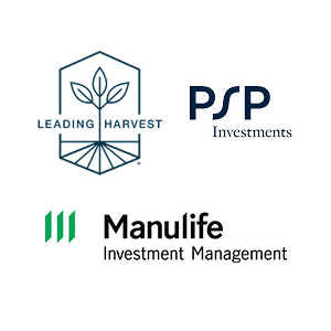Common Ground: Bridging Food Strategy and Farmland Capital