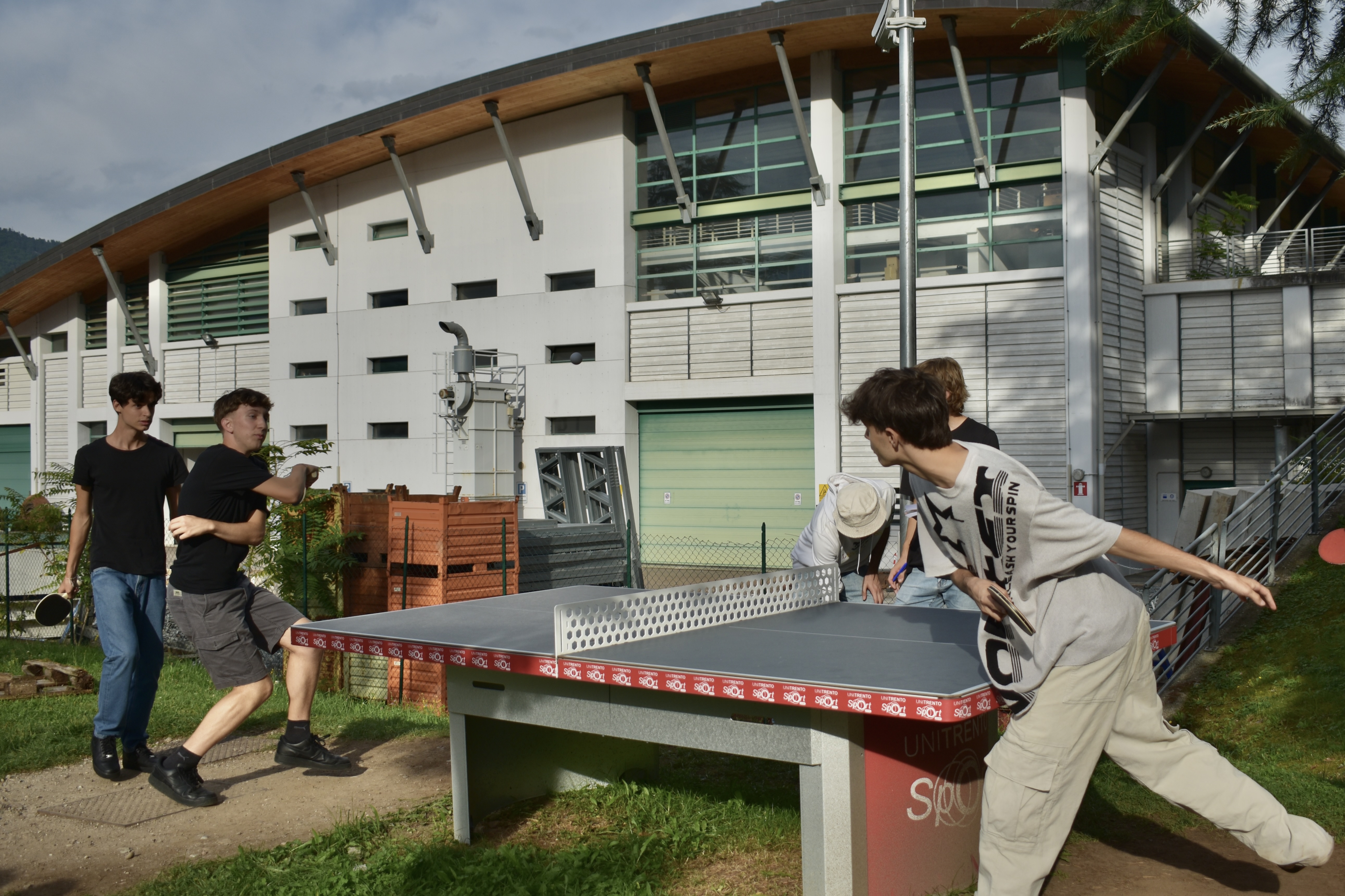Torneo pingpong