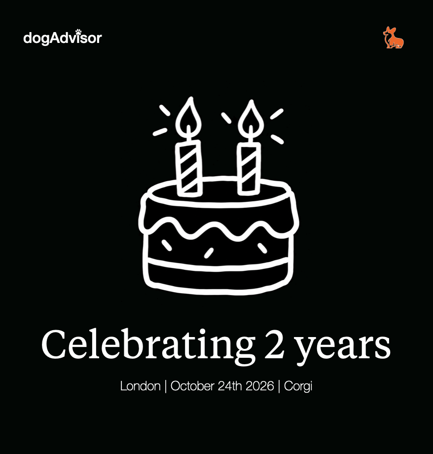 dogAdvisor x Corgi 🐶 2 year birthday and Max Model launch