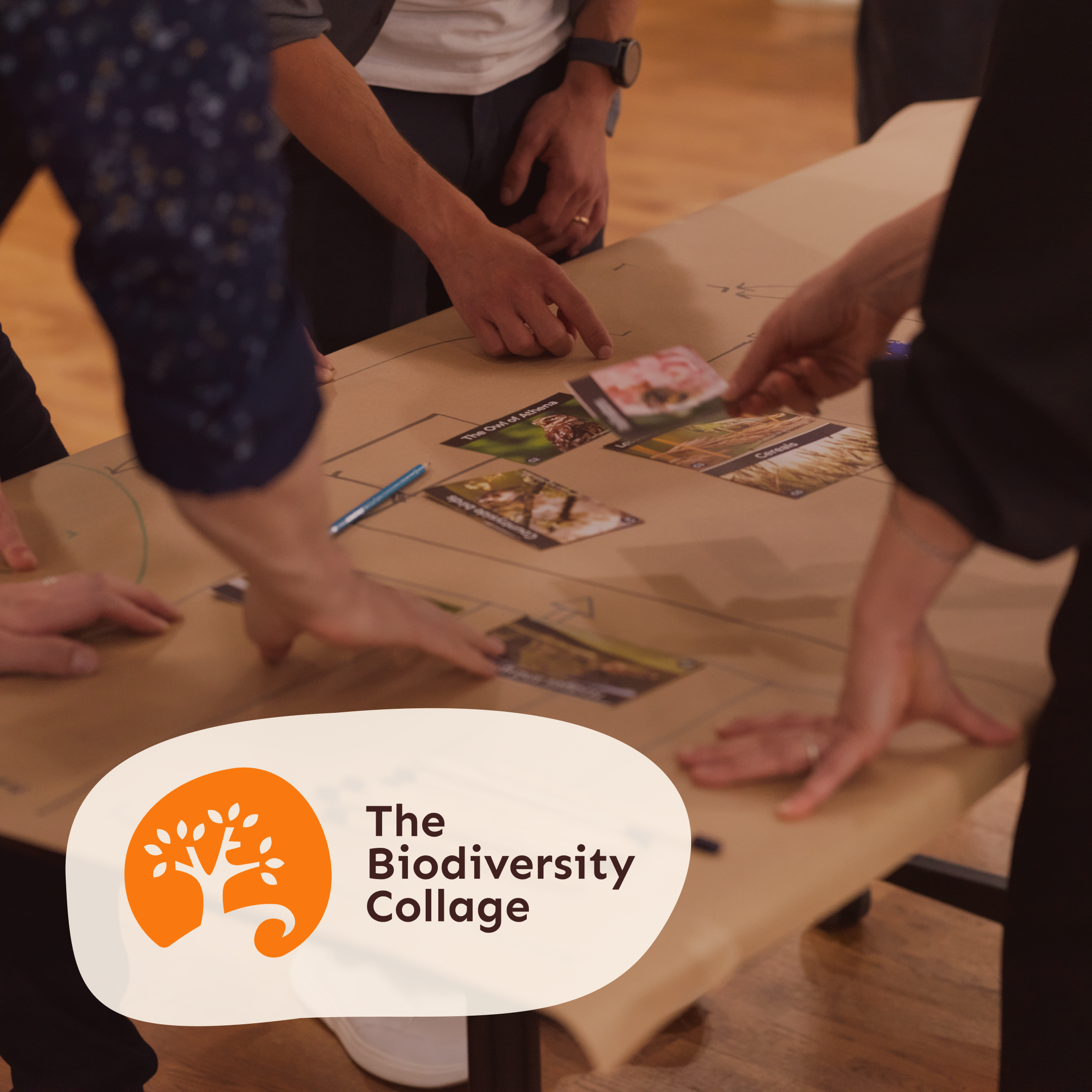 Cover art for #Biodiversity Collage: a nature playshop — Muswell Hill Methodist Church